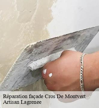 Réparation façade  cros-de-montvert-15150 Artisan Lagrenee