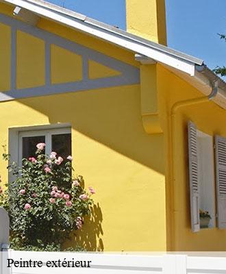 Entreprise de peinture 15 Cantal  Artisna Michel