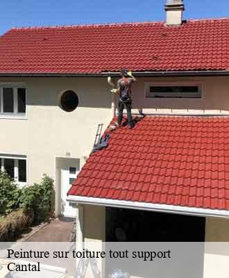 Entreprise de peinture 15 Cantal  Artisna Michel