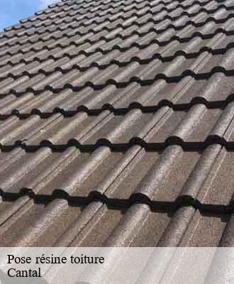 Entreprise de peinture 15 Cantal  Artisna Michel