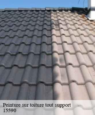 Entreprise de peinture 15 Cantal  Artisna Michel