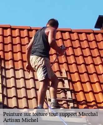 Entreprise de peinture 15 Cantal  Artisna Michel