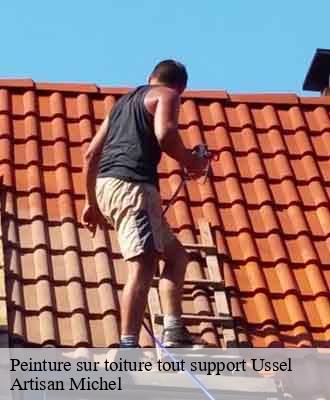 Entreprise de peinture 15 Cantal  Artisna Michel