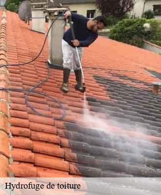 Entreprise de peinture 15 Cantal Artisna Michel