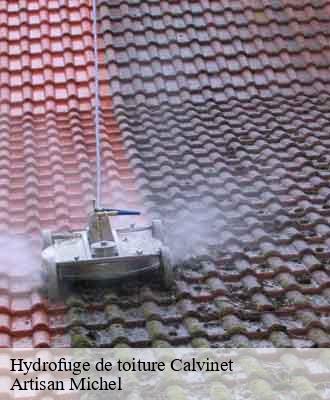 Entreprise de peinture 15 Cantal  Artisna Michel