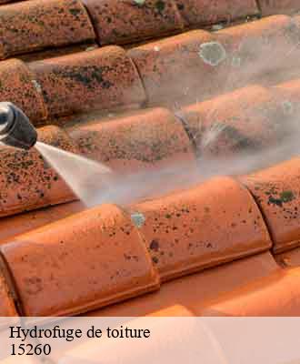 Entreprise de peinture 15 Cantal  Artisna Michel