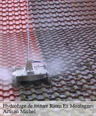 Entreprise de peinture 15 Cantal Artisna Michel