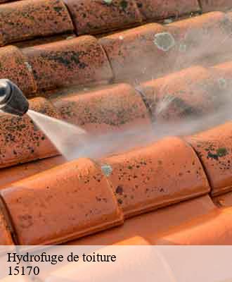 Entreprise de peinture 15 Cantal  Artisna Michel