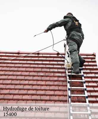 Entreprise de peinture 15 Cantal  Artisna Michel