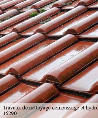 Entreprise de peinture 15 Cantal Artisna Michel