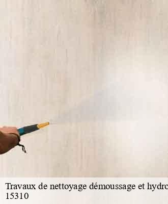 Entreprise de peinture 15 Cantal  Artisna Michel