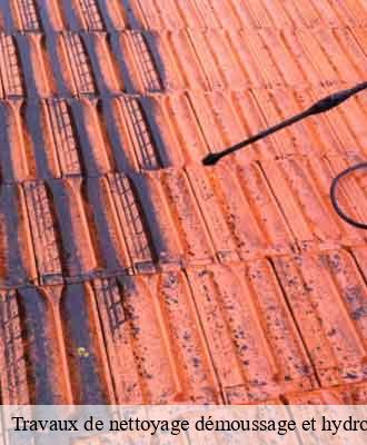 Entreprise de peinture 15 Cantal  Artisna Michel