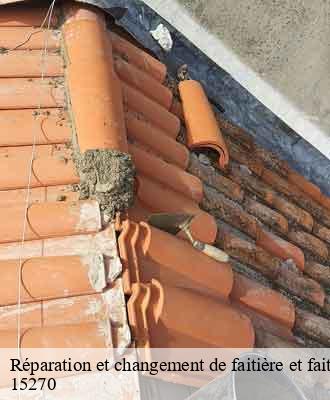 Entreprise de peinture 15 Cantal  Artisna Michel