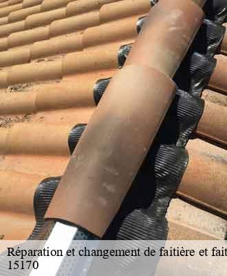 Entreprise de peinture 15 Cantal  Artisna Michel